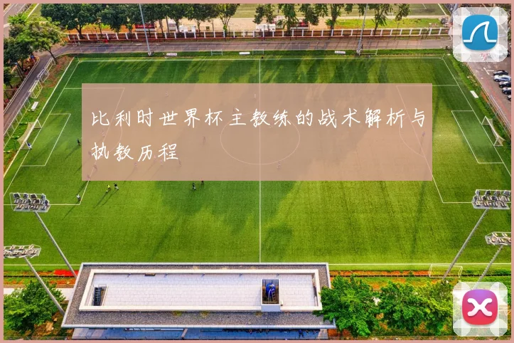 比利时世界杯主教练的战术解析与执教历程